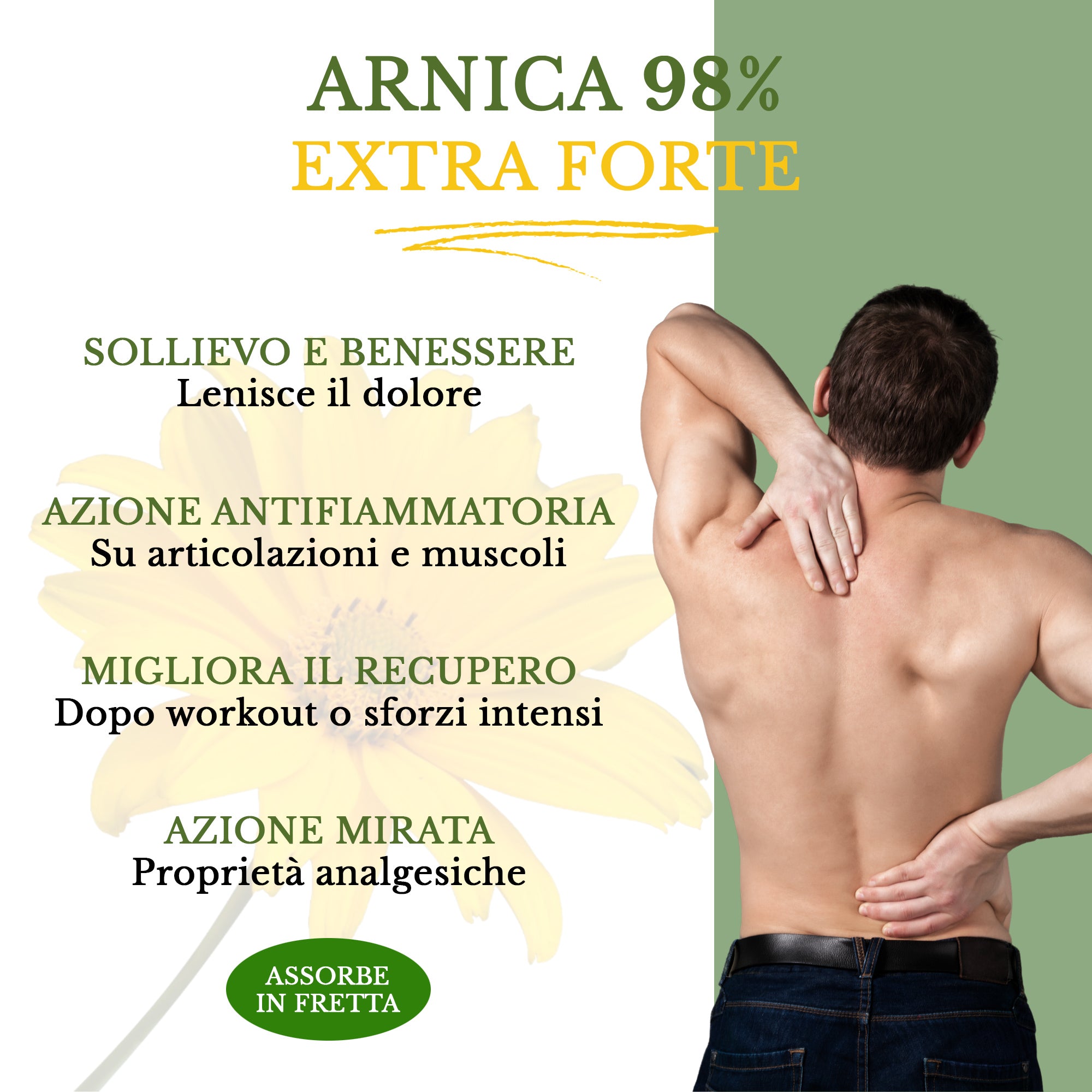 Gel Arnica 98% con Artiglio del Diavolo 500 ML