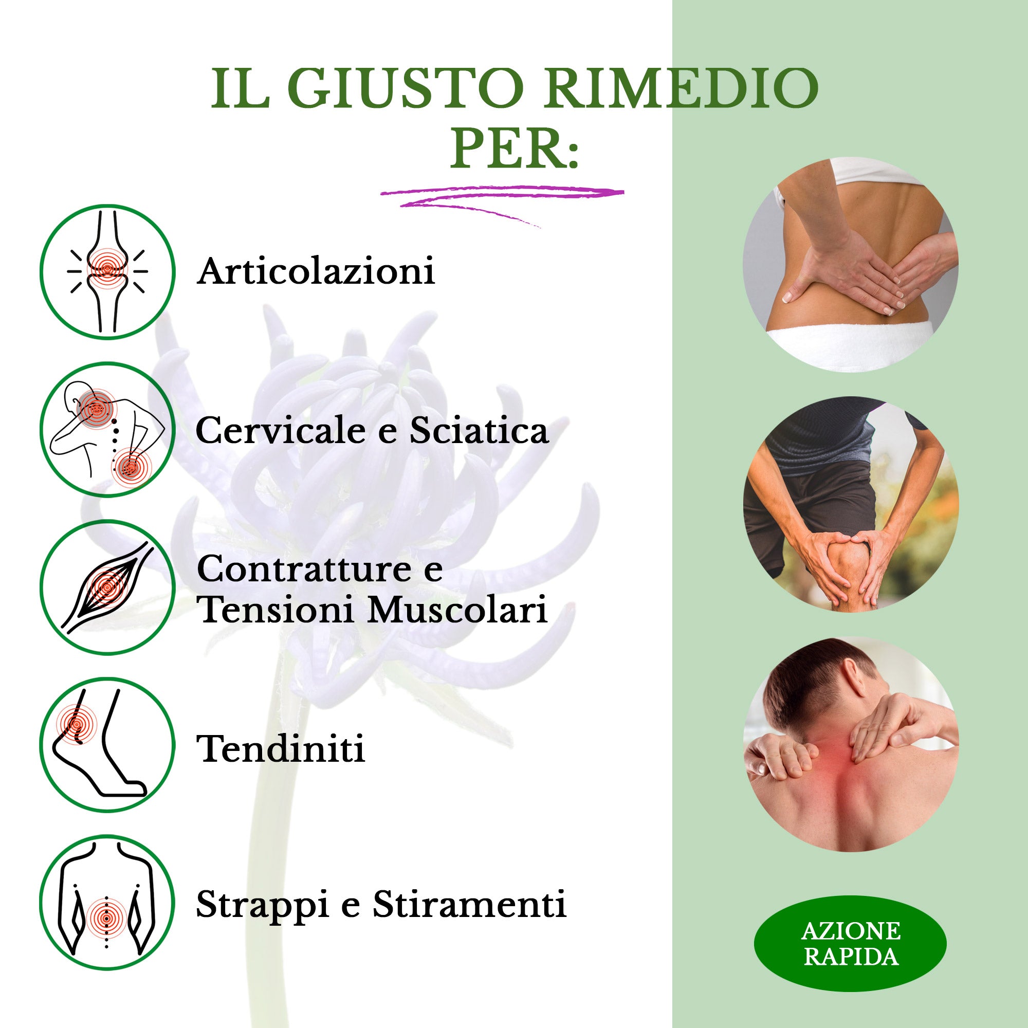 Artiglio del Diavolo Con Arnica Montana 500ml